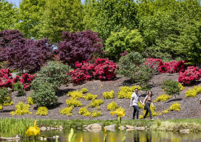 Couple enjoying the spring blooms at Mayfield Garden, Oberon
