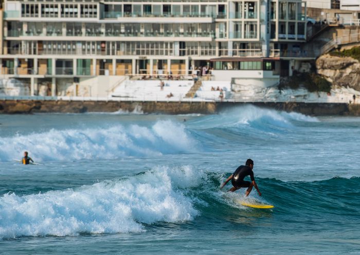 Surfers catching a morning wave, Bondi Beach