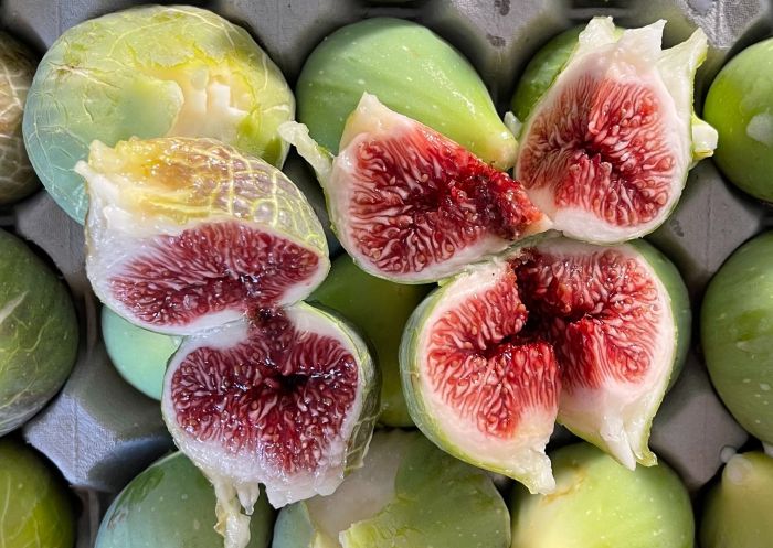 Fresh figs picked in the summer season, Australia