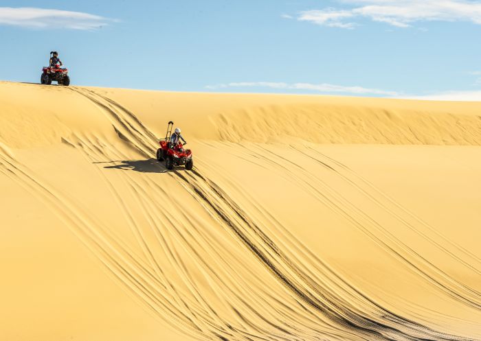 Tour with Sand Dune Adventures in Port Stephens