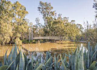 Murrumbidgee River, Balranald