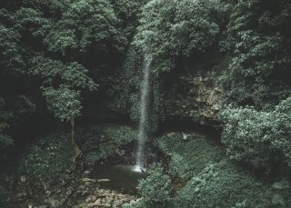 Crystal Showers Falls, Dorrigo National Park