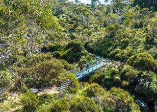 Grand Cliff Top Walk, Wentworth Falls