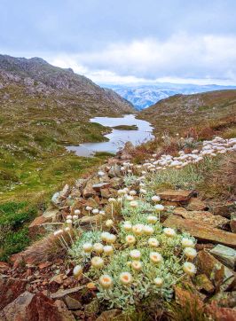 Main Range walking track at Kosciuszko National Park, Snowy Mountains