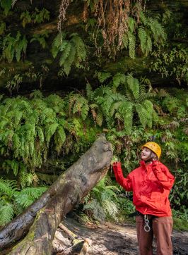 Outdoor adventure operator specializing in abseiling, canyoning and rock climbing with High and Wild Australian Adventures, Katoomba