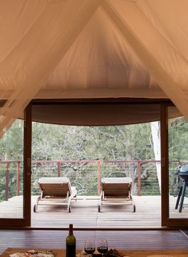 Glamping tent at Turon Gates, Capertee