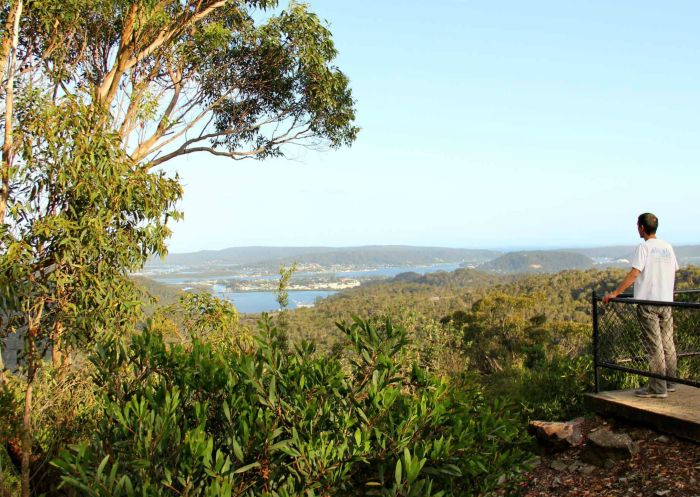 Staples Lookout - Brisbane Waters National Park