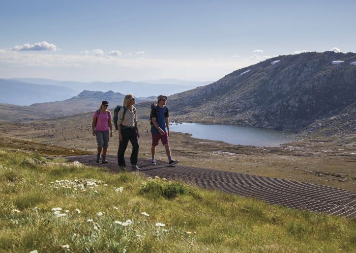 Kosciuszko National Park, Kosciuszko