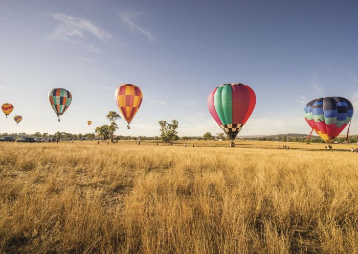 Balloons taking off in the Canowindra International Balloon Challenge