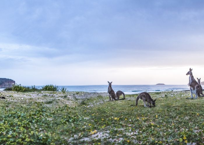 The Best Waterfront Accommodation In NSW For Families | Visit NSW