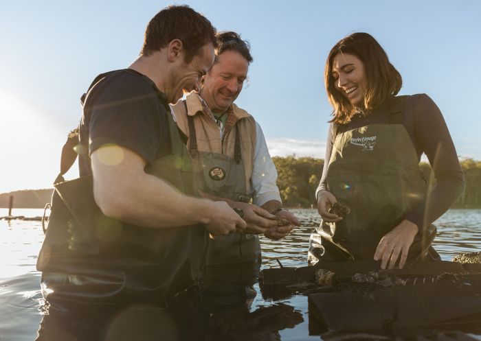 Couple enjoying a tour with Captain Sponge's Magical Oyster Tours on Pambula River, Pambula