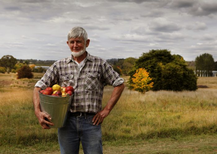 Man carrying bucket of apples from Small Acres Cyder, Orange