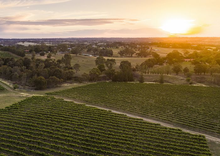 Sun setting over the scenic grounds of Grove Estate Wines in Young, Country NSW