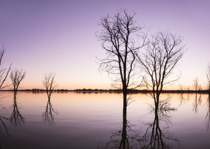 Yanga National Park - Outback NSW