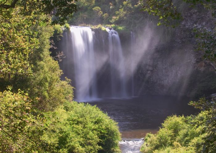 Scenic shot of Dangar Falls, near Dorrigo, North Coast