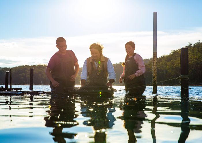 Couple enjoying a tour with Captain Sponge's Magical Oyster Tours on Pambula River, Pambula