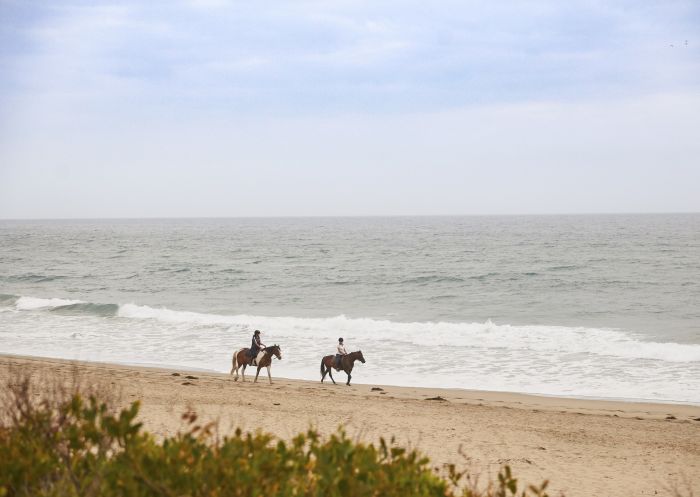 Bangalay Villa guests enjoying a beach horse ride on Seven Mile Beach - Shoalhaven Heads