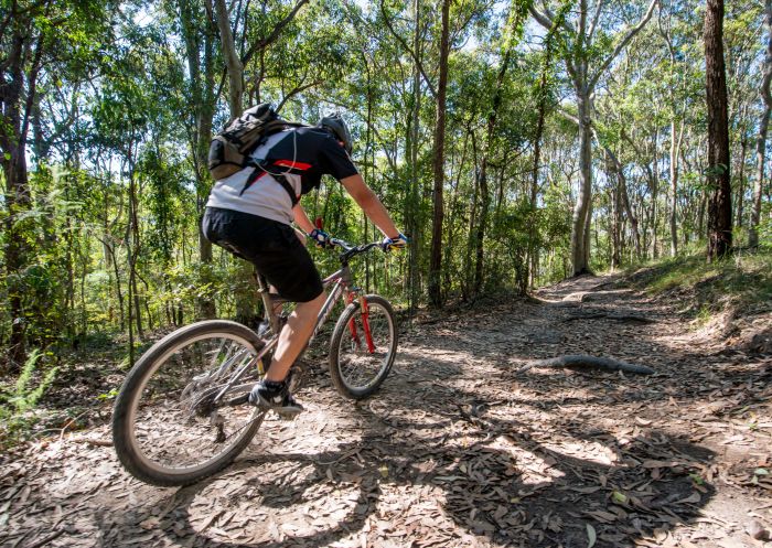 A mountain bike rider enjoying the Bombala track. It is set amongst a tranquil forest setting within Glenrock State Conservation Area, and is made up of spotted gum, ironbark and white mahogany forest.