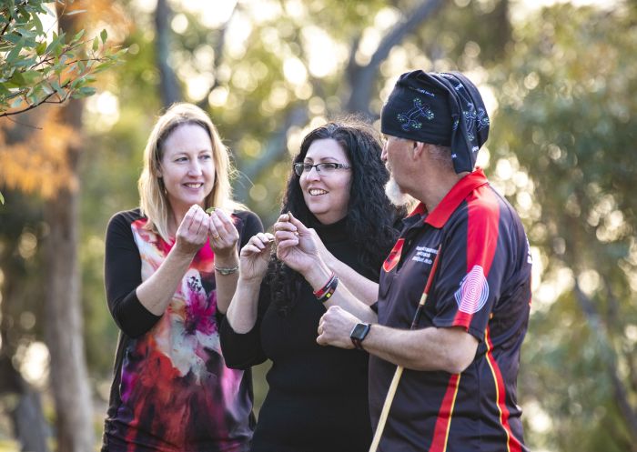 Bundyi Cultural Tours guide Mark Saddler sharing his knowledge with tourists in Wagga Wagga.