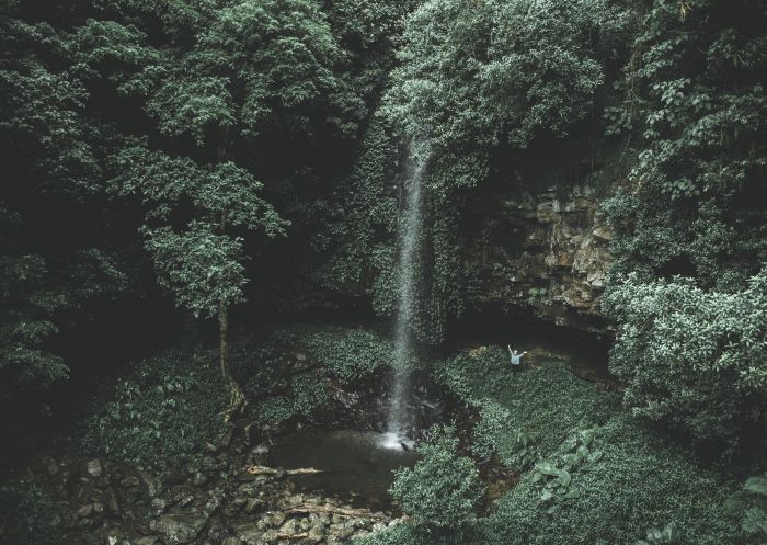 Crystal Showers Falls - Dorrigo National Park