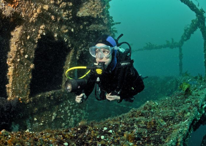 Snorkelling, Ex-HMAS Adelaide Dive Site at Avoca Beach, Gosford Area