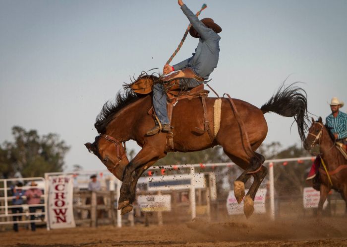 Saddle Bronc Riding at Hay Rodeo in Hay, Wagga Wagga & Riverina Area