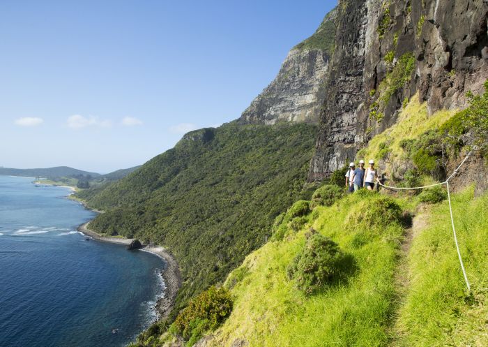 Mount Gower, Lord Howe Island