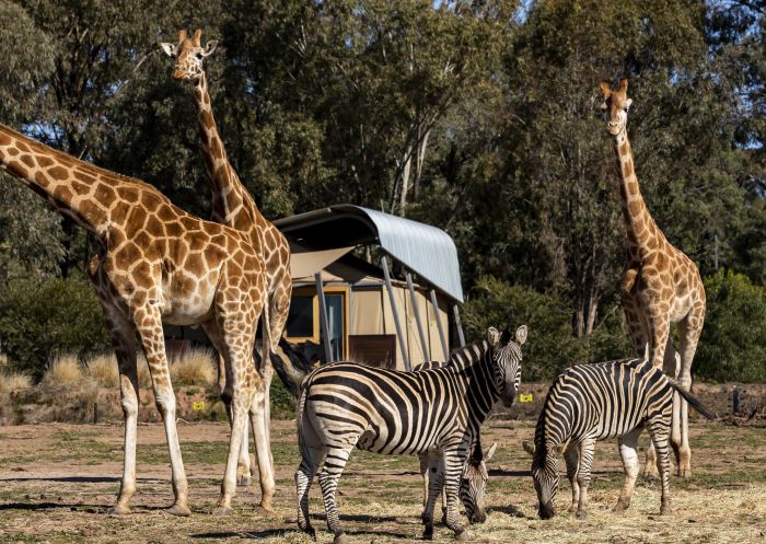 Taronga Western Plains Zoo, Dubbo