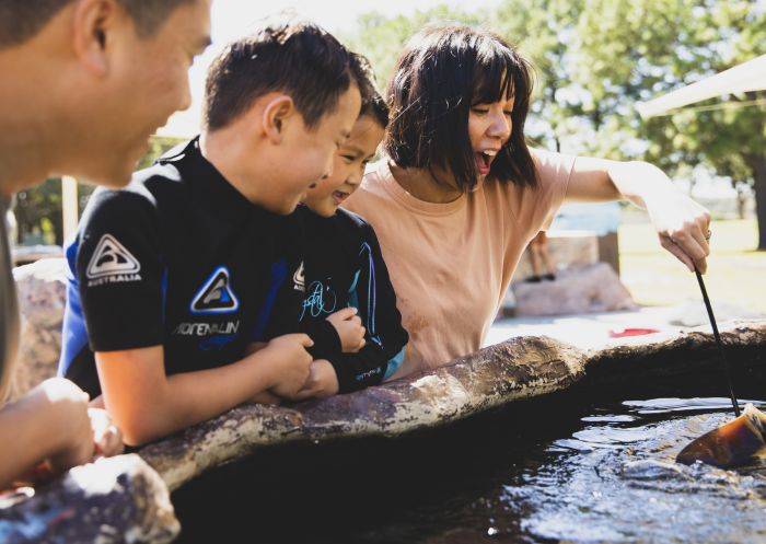 Family enjoying an animal feeding experience at Irukandji Shark and Ray Encounters, Anna Bay