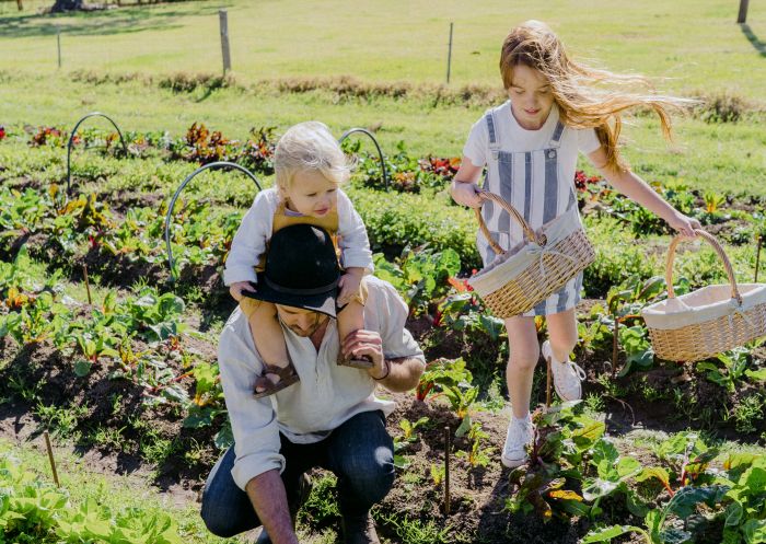 Collect your own Produce at Jamberoo Valley Farm Stay and Cottages in Jamberoo, Kiama Area on the South Coast