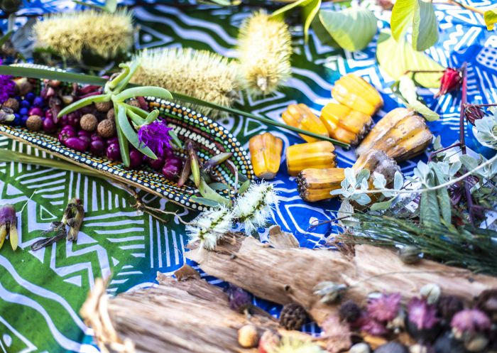 Food sources and medicinal plants shown on an Unkya Cultural Eco Tours at Gaagal Wanggaan (South Beach) National Park, Scotts Head.