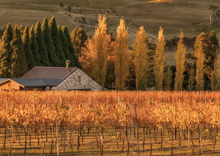 Autumn at Bendooley Estate, Berrima