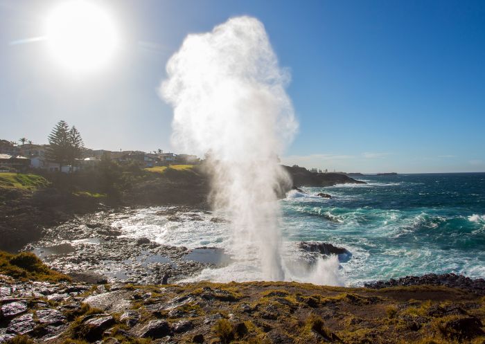 Water plume spouting from the Kiama Blowhole, Kiama 