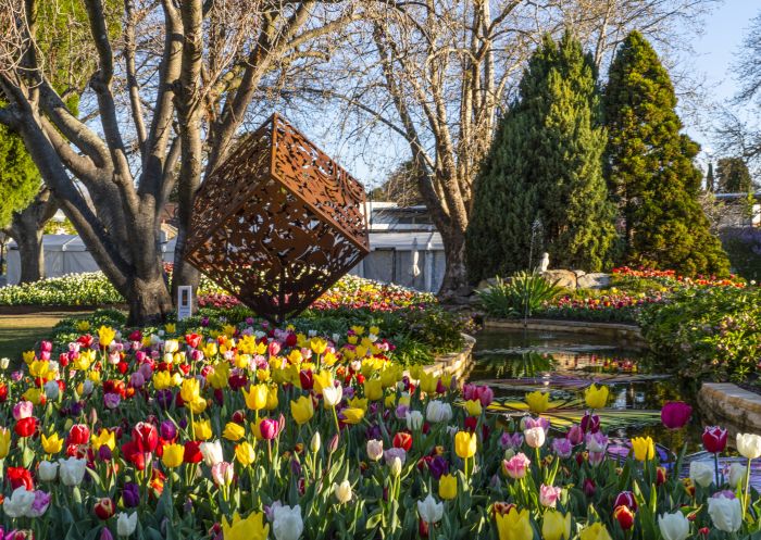 Tulip Time Festival, Bowral