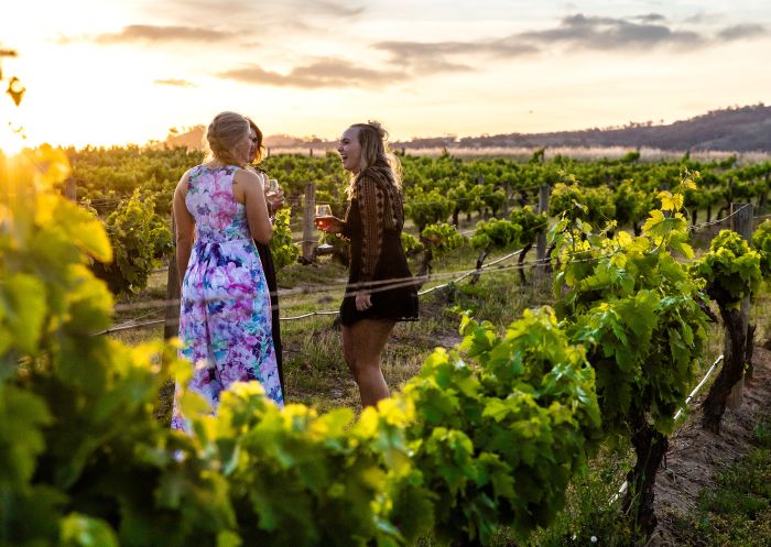 Women enjoying local wines in the vineyard at Burnbrae Wines, Mudgee