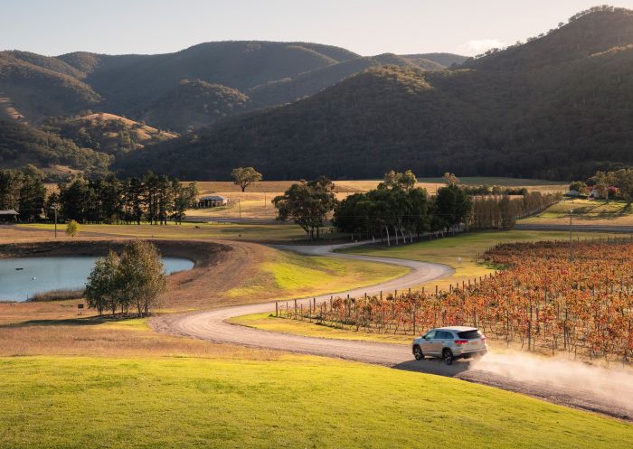 Car arriving at Logan Wines, Apple Tree Flat near Mudgee