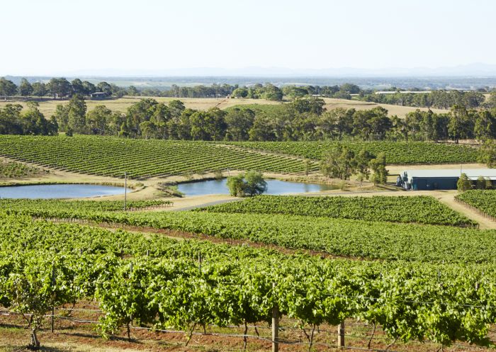 The Best Winery Accommodation In The Hunter Valley | Visit NSW