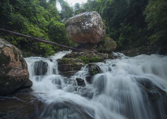 Clover Hill Trail, Macquarie Pass National Park