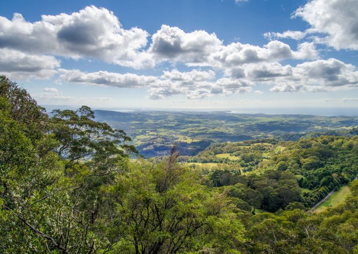 Barren Grounds Nature Reserve - Credit: John Spencer | DPE