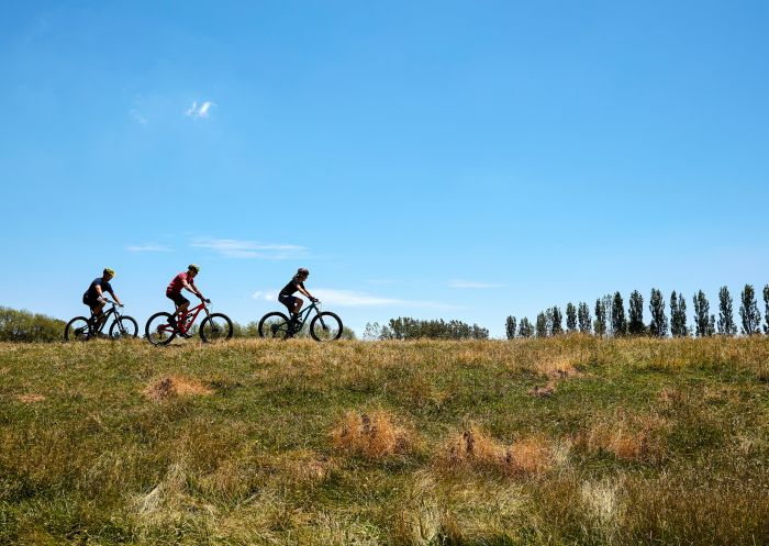 Friends enjoying the scenery on hired bicycles at Heifer Station, Orange