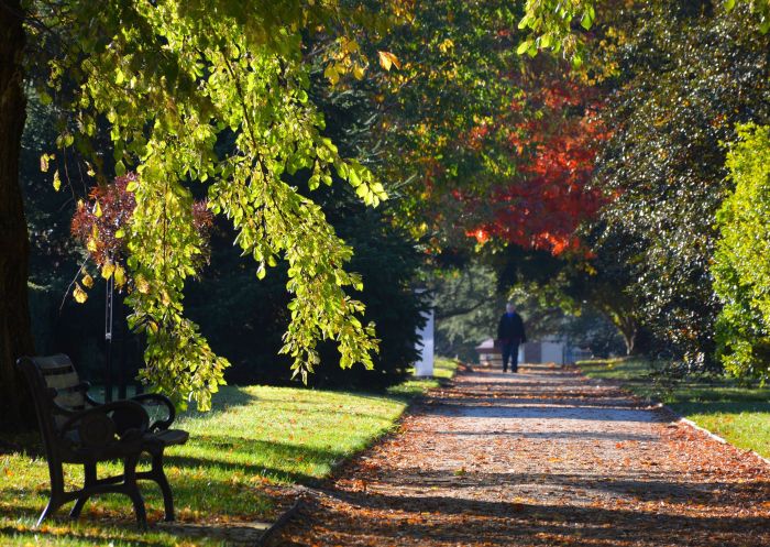 Man walking through autumn leaves at Cook Park Heritage Walk, Orange