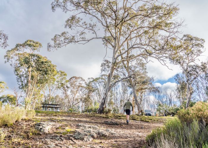 Man hiking to the the walls lookout platform at Gaanha bula Mountain, Mount Canobolas State Conservation Area