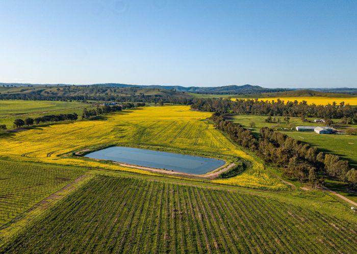 Borambola Wines - Credit: Hardwick & Co Productions