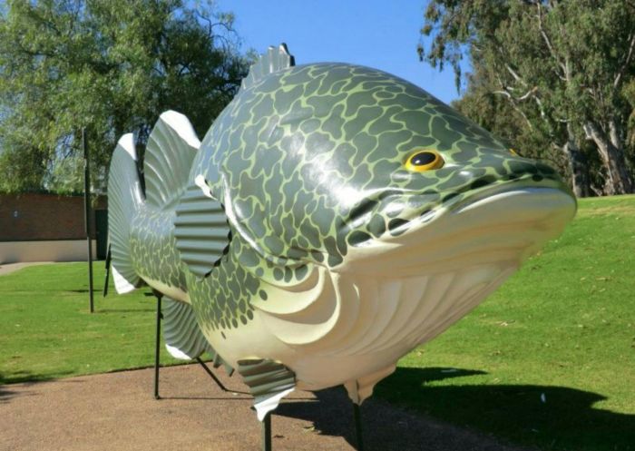 Big Murray Cod - Credit: Tocumwal Visitor Information Centre