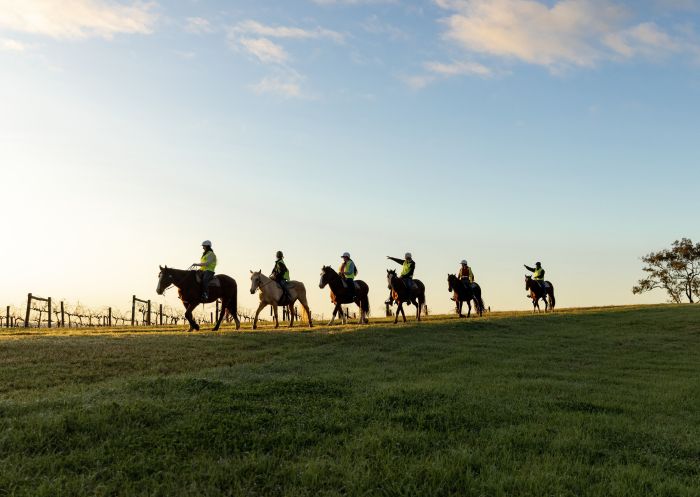 Group enjoying ride with Hunter Valley Horses, Pokolbin