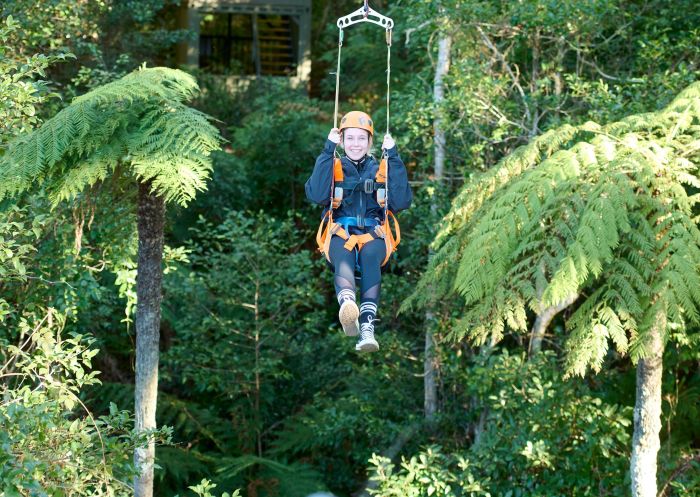 Girl enjoying zipline in the Illawarra rainforest with Illawarra Fly Treetop Adventures, Knights Hill