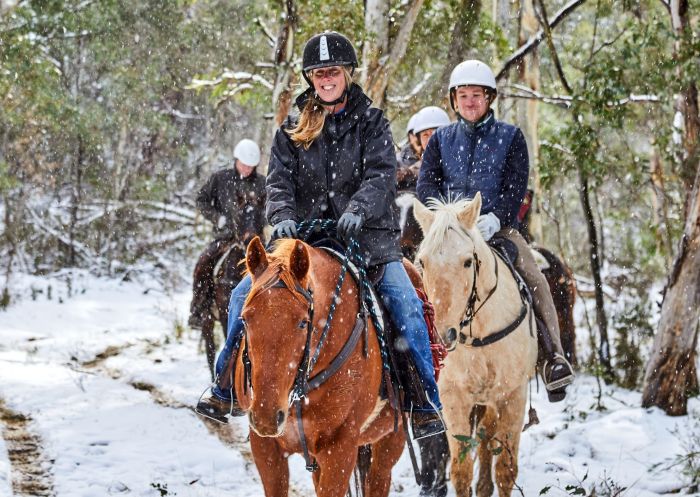 Group horse riding tour with Thredbo Valley Horse Riding, Thredbo Valley