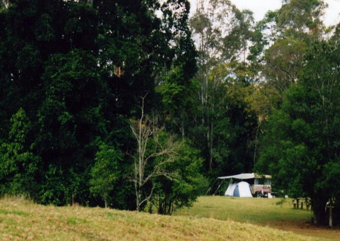 Camping sites in Levuka Rainforest Recreation Park, Urbenville