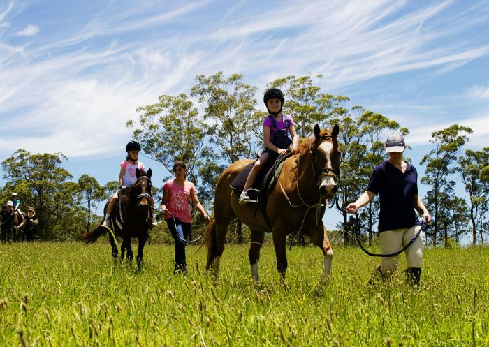  Beginner Trail Ride with Port Macquarie Horse Riding Centre at Cassegrain Winery, Port Macquarie