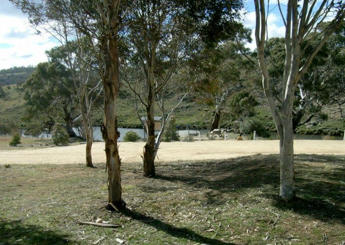 View of the tree lined reserve overlooking the river at Bombala Platypus Reserve, Bombala